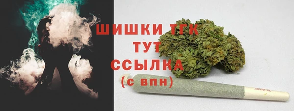 стафф Инсар