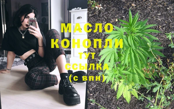молекула духа Новозыбков