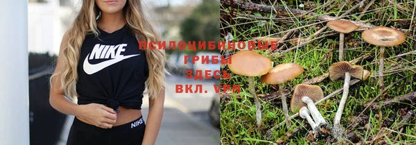 тгк Иннополис