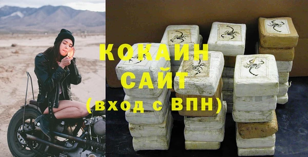 ПСИЛОЦИБИНОВЫЕ ГРИБЫ Заволжье
