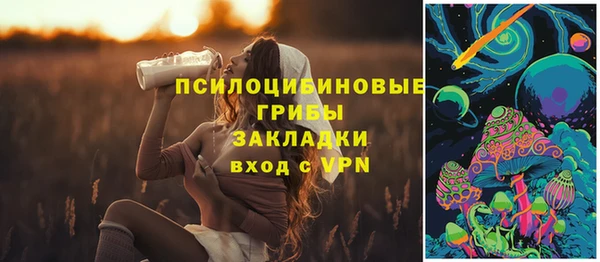 ПСИЛОЦИБИНОВЫЕ ГРИБЫ Заволжье