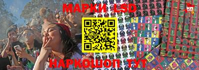 mdpv Брянск