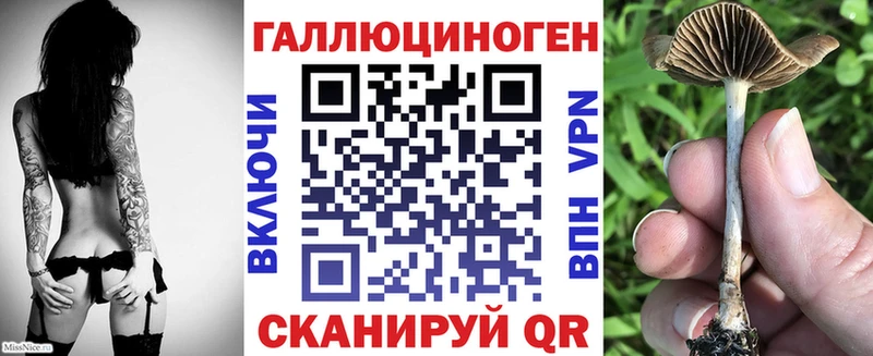 Галлюциногенные грибы Magic Shrooms купить наркоту Канск