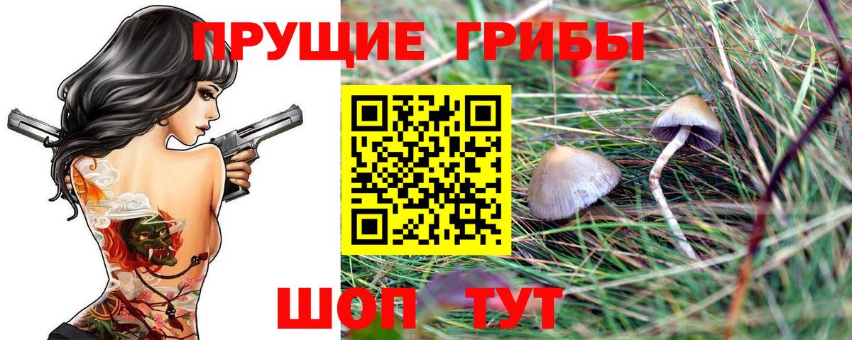 Галлюциногенные грибы ЛСД Канск