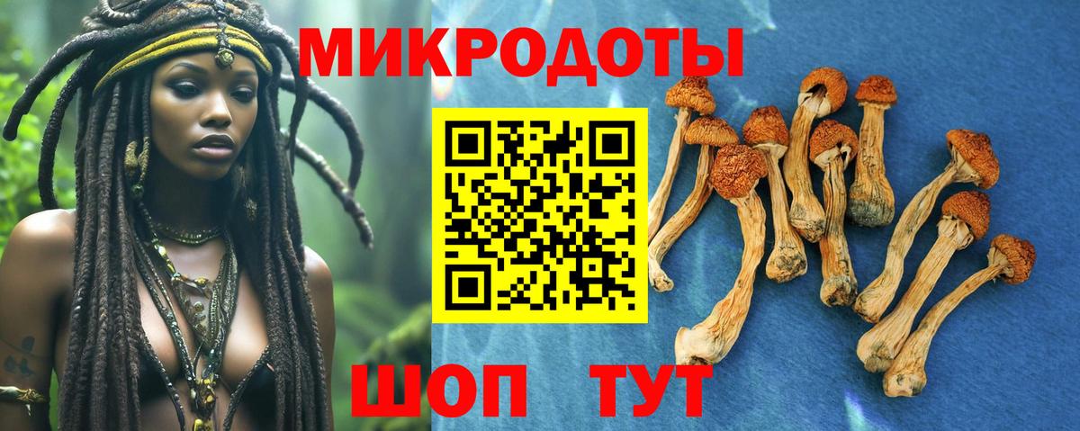 цена наркотик  Вход с VPN  Канск  Псилоцибиновые грибы прущие грибы 