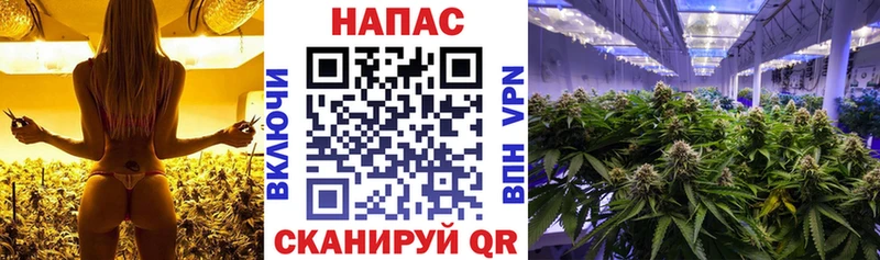 продажа наркотиков  Канск  Шишки марихуана THC 21% 
